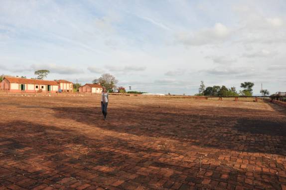 Caminhando no terreiro de café em Ribeirão Preto - SP